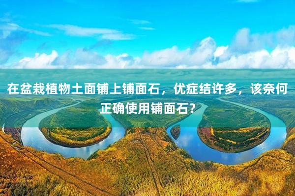 在盆栽植物土面铺上铺面石，优症结许多，该奈何正确使用铺面石？