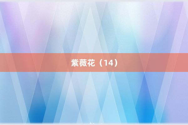 紫薇花（14）