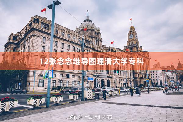 12张念念维导图理清大学专科