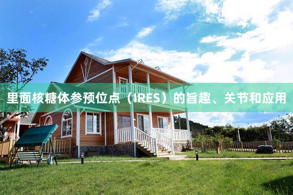 里面核糖体参预位点（IRES）的旨趣、关节和应用