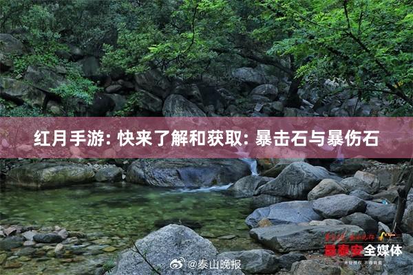 红月手游: 快来了解和获取: 暴击石与暴伤石