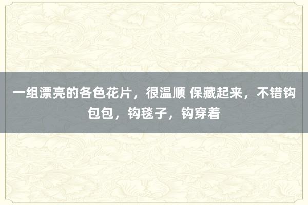 一组漂亮的各色花片，很温顺 保藏起来，不错钩包包，钩毯子，钩穿着