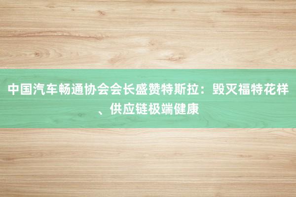 中国汽车畅通协会会长盛赞特斯拉：毁灭福特花样、供应链极端健康