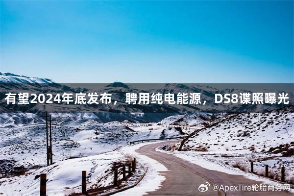 有望2024年底发布，聘用纯电能源，DS8谍照曝光