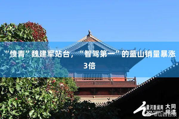 “愤青”魏建军站台，“智驾第一”的蓝山销量暴涨3倍