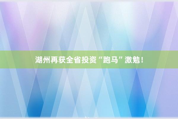 湖州再获全省投资“跑马”激勉！