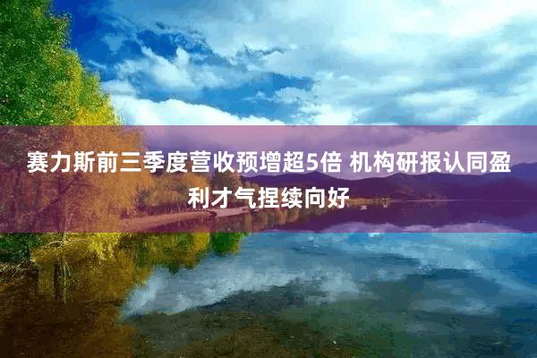 赛力斯前三季度营收预增超5倍 机构研报认同盈利才气捏续向好