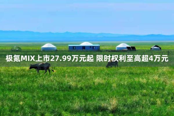 极氪MIX上市27.99万元起 限时权利至高超4万元