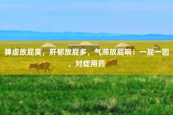 脾虚放屁臭，肝郁放屁多，气滞放屁响！一屁一因，对症用药