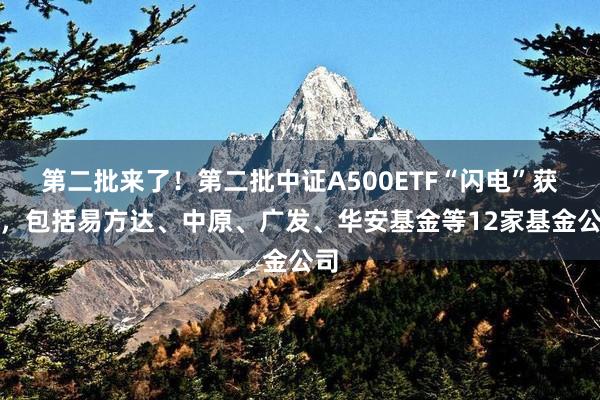 第二批来了！第二批中证A500ETF“闪电”获批，包括易方达、中原、广发、华安基金等12家基金公司