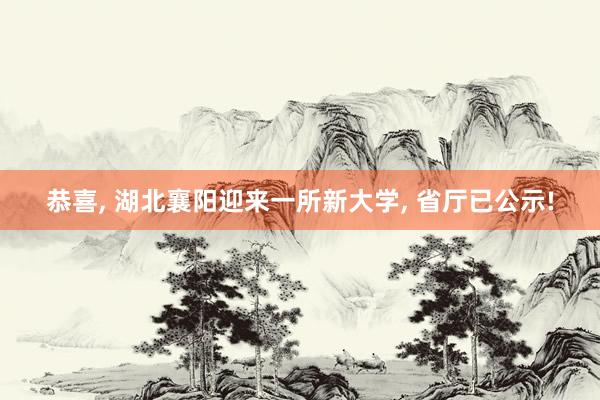 恭喜, 湖北襄阳迎来一所新大学, 省厅已公示!