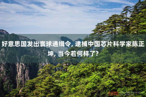 好意思国发出寰球通缉令, 逮捕中国芯片科学家陈正坤, 当今若何样了?