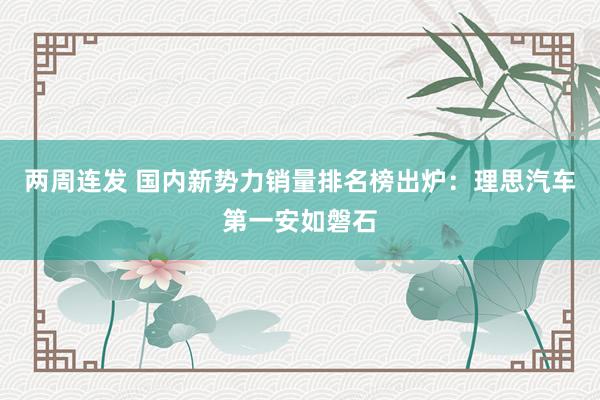 两周连发 国内新势力销量排名榜出炉：理思汽车第一安如磐石