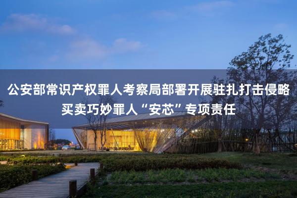公安部常识产权罪人考察局部署开展驻扎打击侵略买卖巧妙罪人“安芯”专项责任