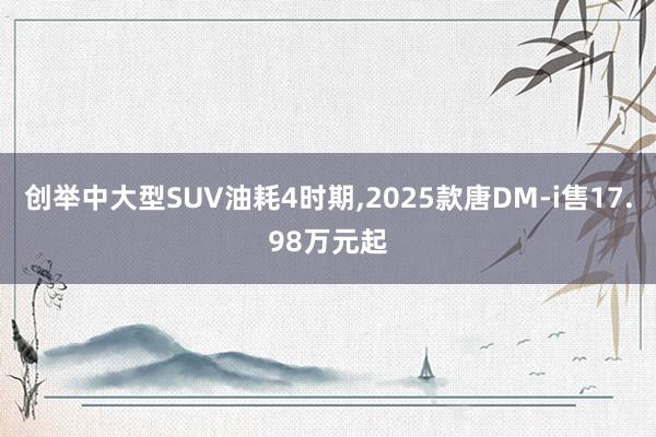 创举中大型SUV油耗4时期,2025款唐DM-i售17.98万元起