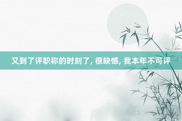 又到了评职称的时刻了, 很缺憾, 我本年不可评
